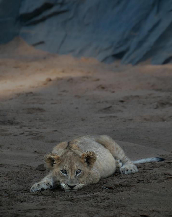 Rhino Sands Safari Camp Manyoni Private Game Reserve Екстериор снимка